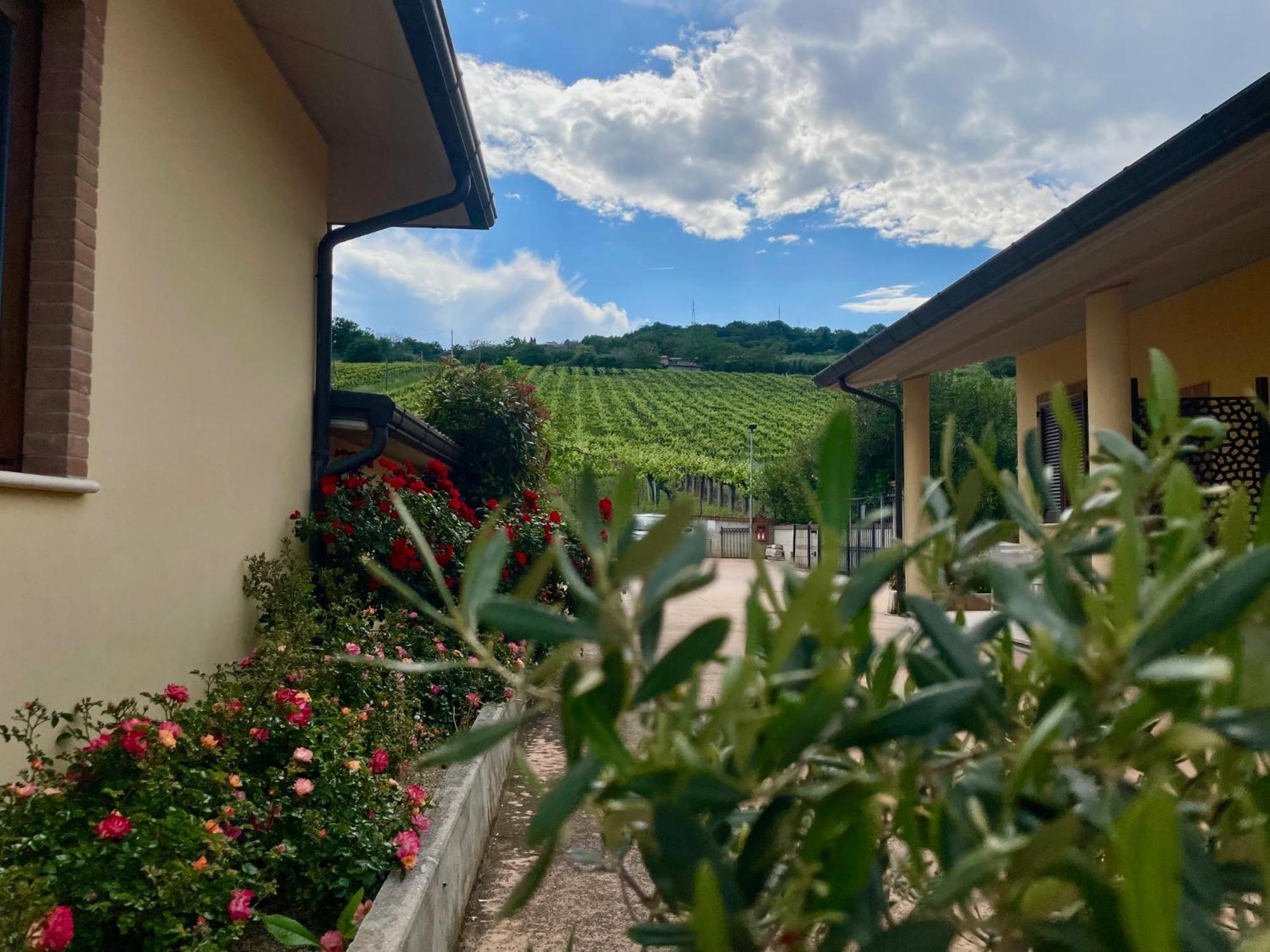 Vigneto - Italian Restaurant & B&B Villa Rosa Di Martinsicuro Exterior foto
